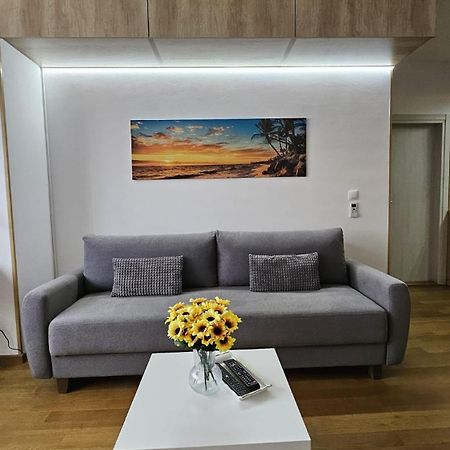 Porodicno-Poslovni Udoban Stan Apartment Beograd Ngoại thất bức ảnh