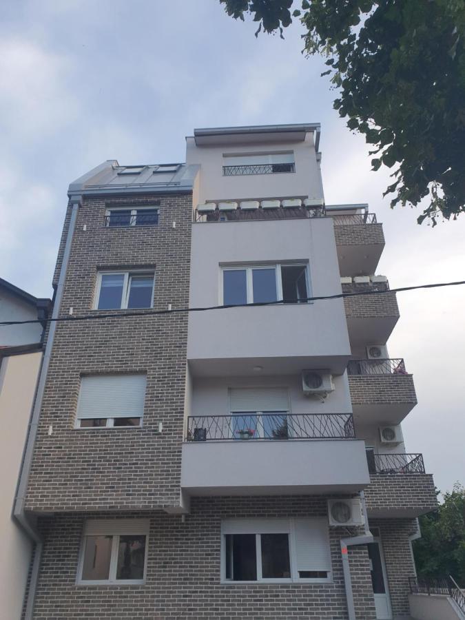 Porodicno-Poslovni Udoban Stan Apartment Beograd Ngoại thất bức ảnh