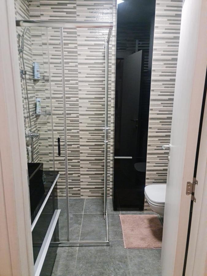 Porodicno-Poslovni Udoban Stan Apartment Beograd Ngoại thất bức ảnh
