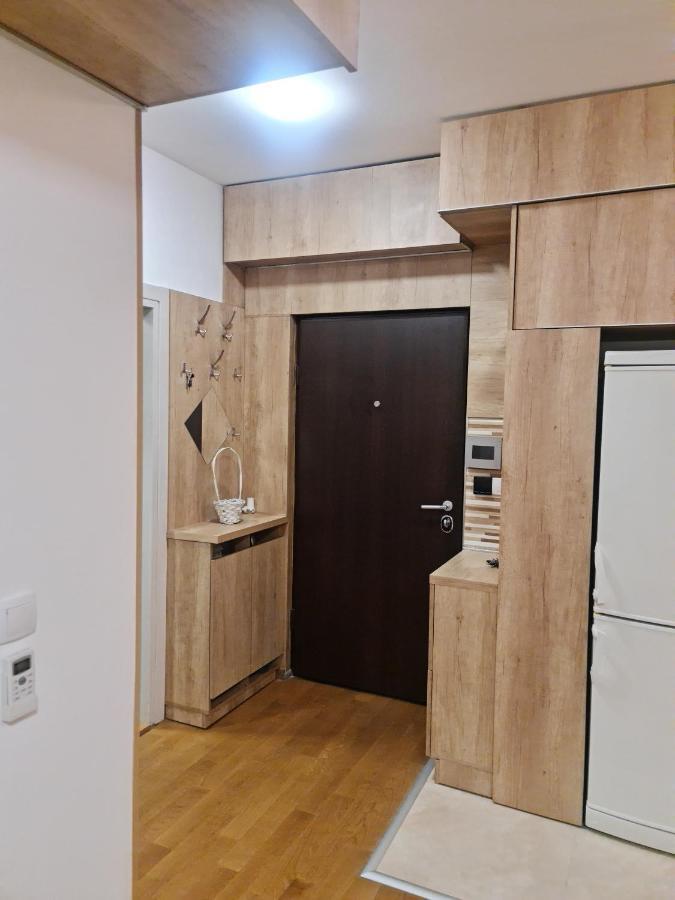 Porodicno-Poslovni Udoban Stan Apartment Beograd Ngoại thất bức ảnh