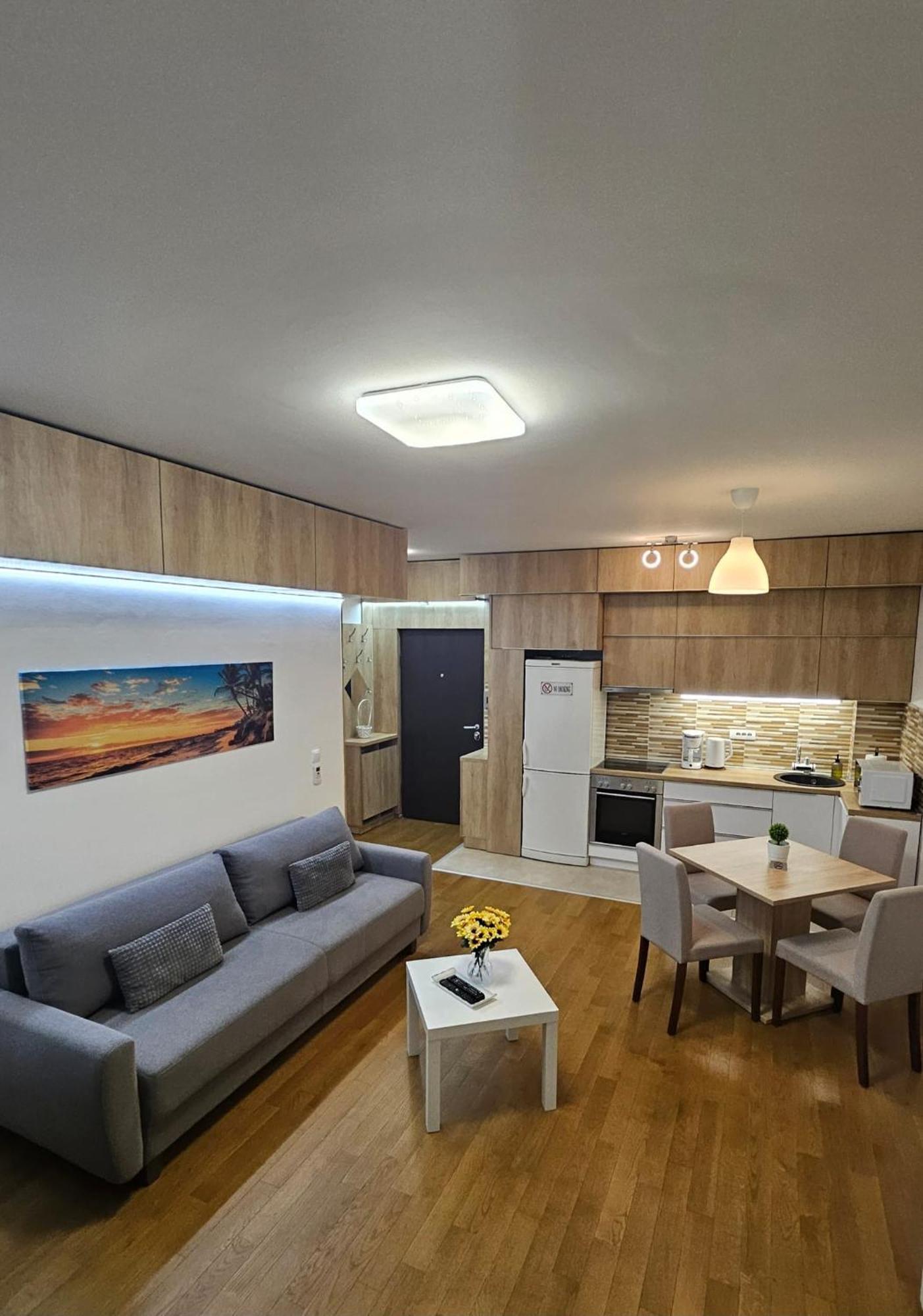Porodicno-Poslovni Udoban Stan Apartment Beograd Ngoại thất bức ảnh