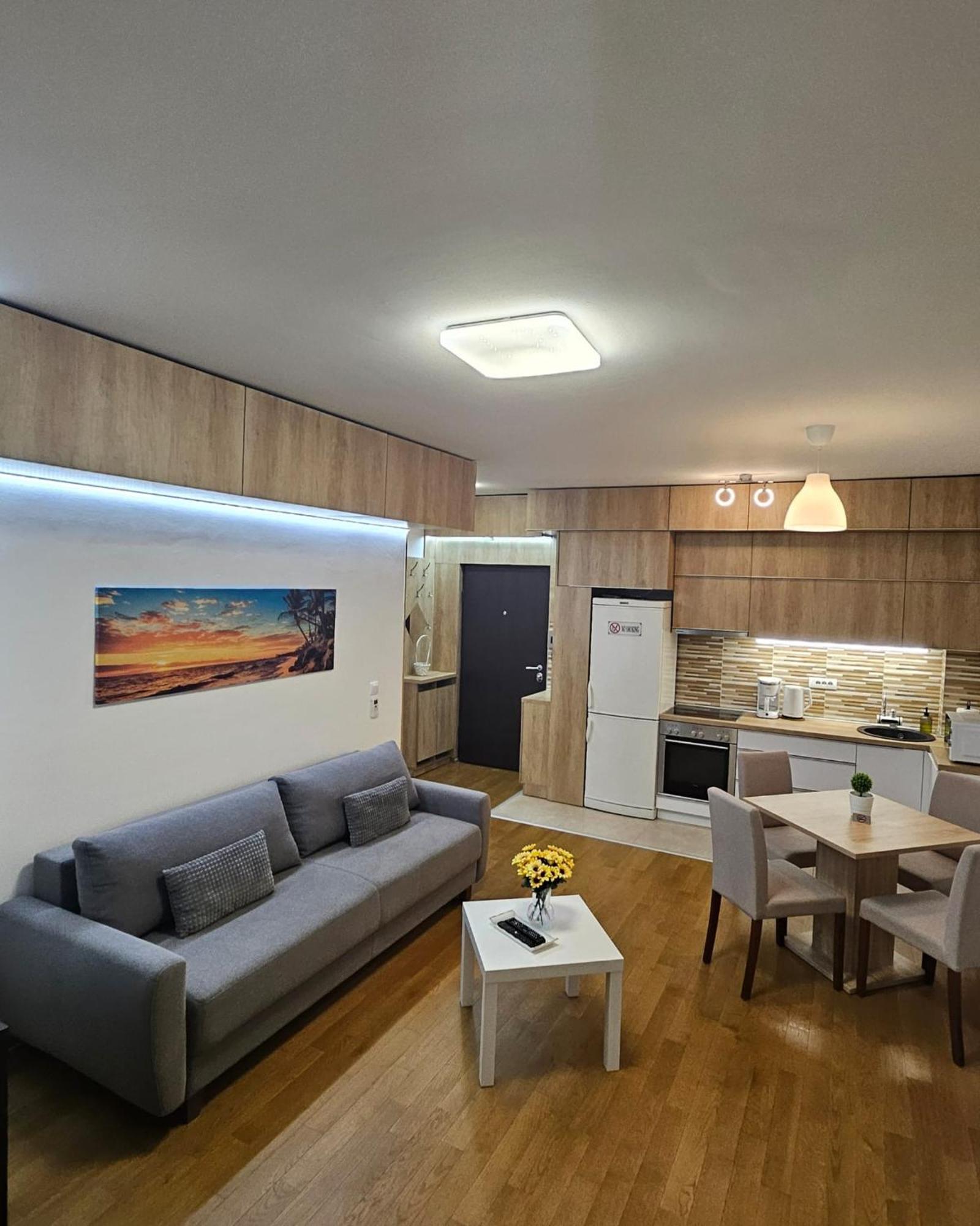 Porodicno-Poslovni Udoban Stan Apartment Beograd Ngoại thất bức ảnh